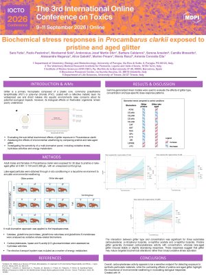 poster IOCTO 2026 Sara Futia .pdf